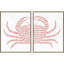 Crabe tacheté S / 2