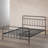 Amillia Metal Open-Frame Bed-2096777295