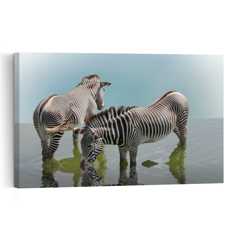 Grevy Zebras Drinking Peaceful Serene Tranquil Zebra Nature Wildlife Wall Art Print 1 Piece Wrapped Canvas Wall Art