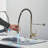 Senlesen Pull Down Kitchen Faucet