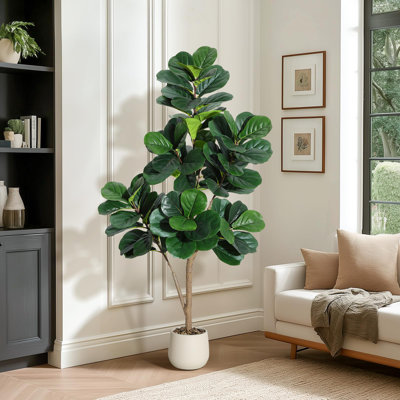 Plant