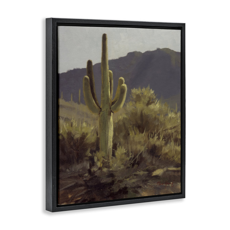 Cadre flottant Bold Cactus Mountain View, par Paco Young, H 31 po x l 25 po, Cadre flottant noir de jais