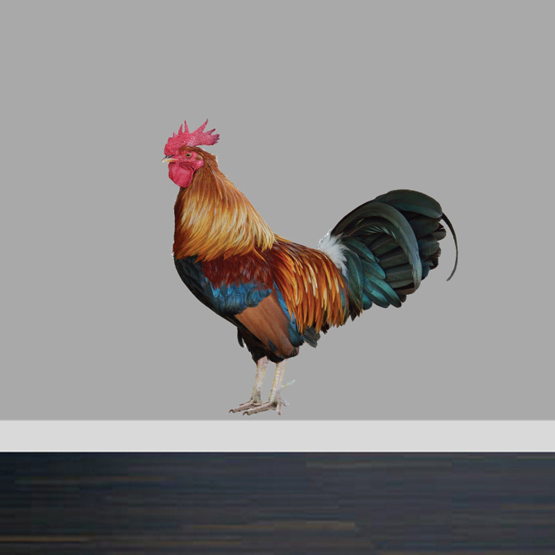 Animals Non-Wall Damaging Wall Decal, 12" H x 12" W