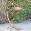 Bain d'oiseaux Friedewald-644874592