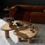 Zion Solid Wood Nesting Coffee Table-2014503654