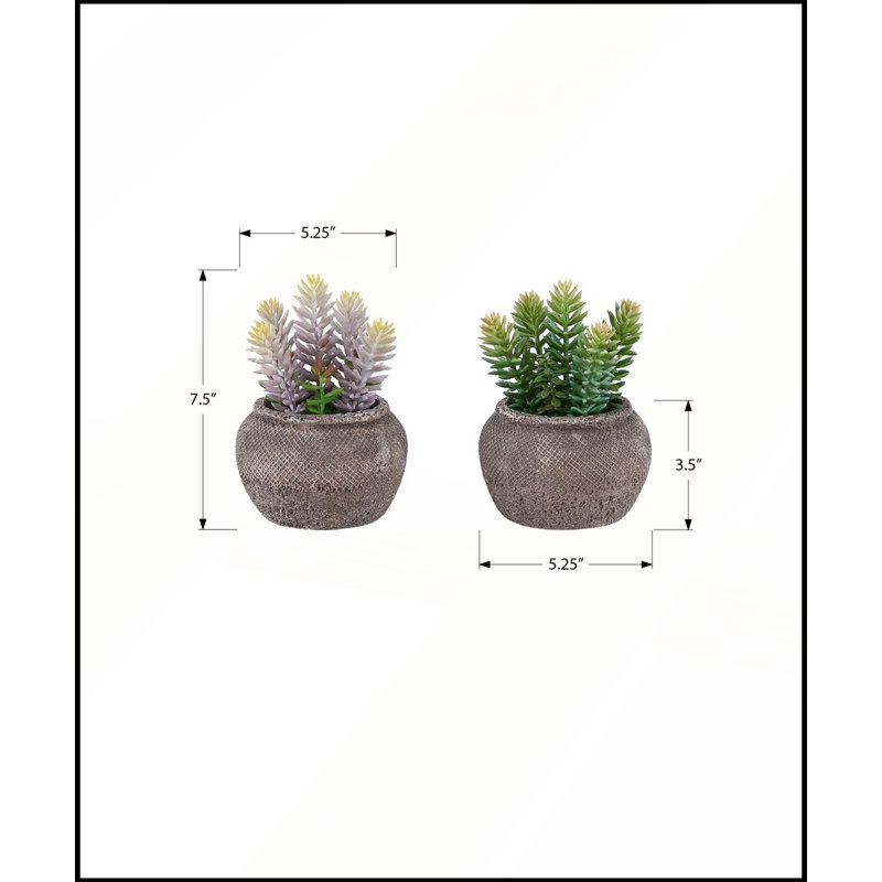 Ensemble de 2 plantes succulentes artificielles en pots de ciment brun, 20 cm de hauteur, parfaites pour une décoration moderne et contemporaine.