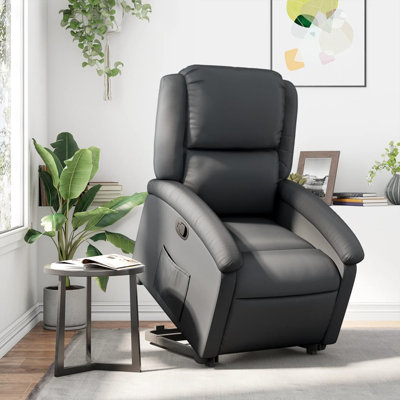 Fauteuil inclinable Budhram