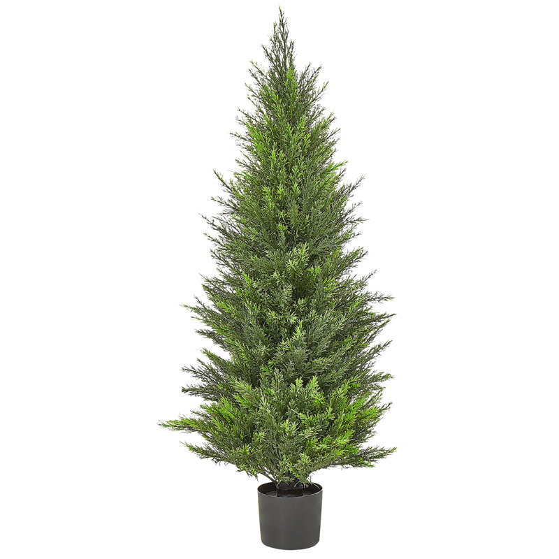 Faux Cedar Tree Plant in Plastic / Acrylic Planter, 120cm H x 40cm W x 40cm D