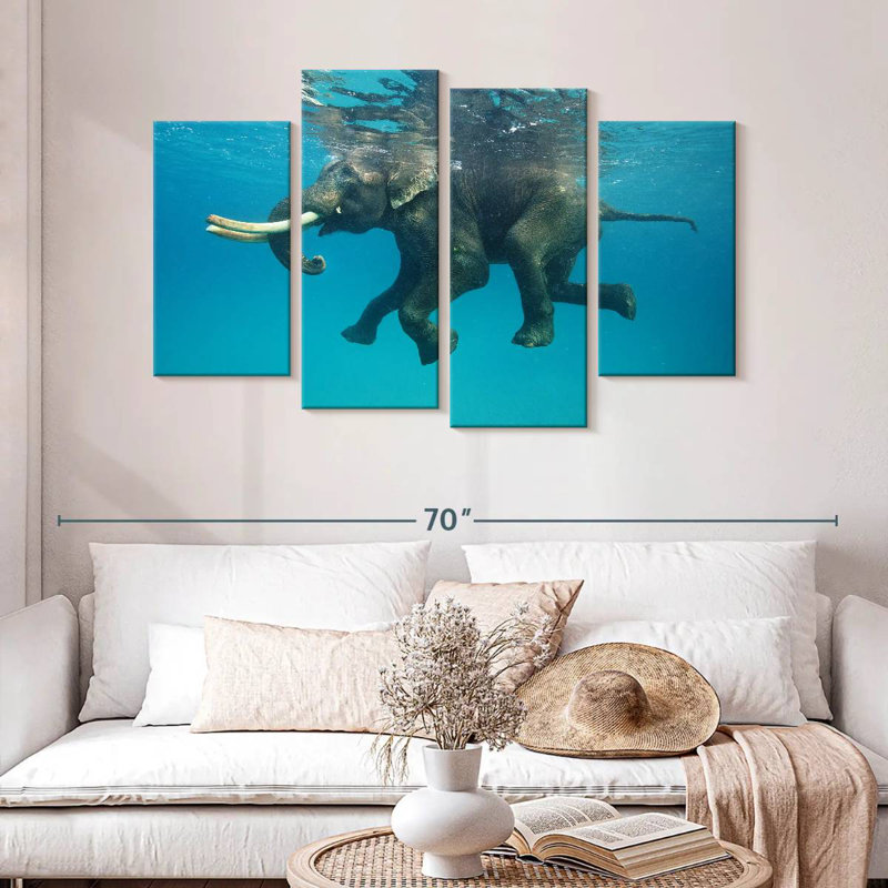 Brampt Elephant Swim Break
