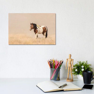 USA, Utah, Tooele County. Wild Horse Close-up. by Jaynes Gallery - Wrapped Canvas Gallery-Wrapped Canvas Giclée