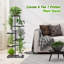 Plant Stand-895533885