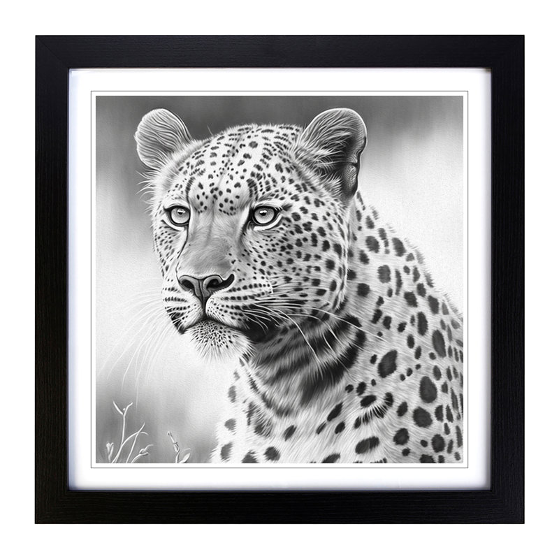 Leopard Drawing - Framed Print, Black