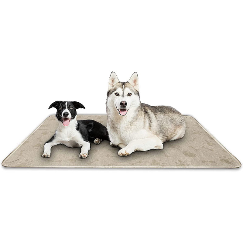 Couverture pour chien légère et imperméable Paw, Beige, 82 po x 68 po