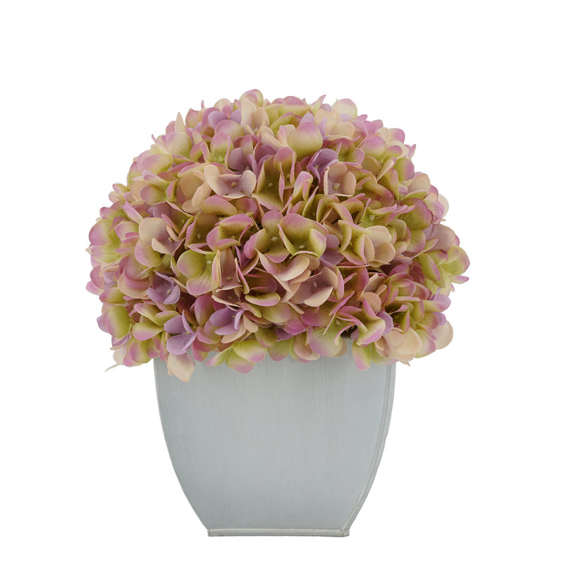 Arrangements floraux d'hortensias en pot, Lilas