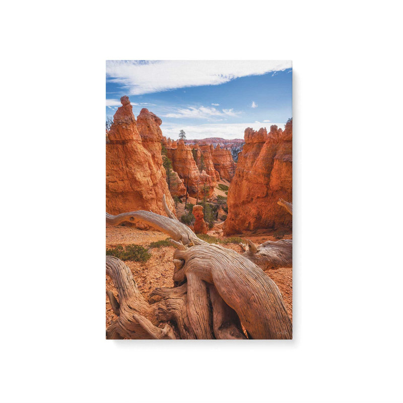 «Canyon Weathered Wood» par Martin Podt, reproduction d'art, L 32 po x H 48 po, Ne s’applique pas, Toile non encadrée