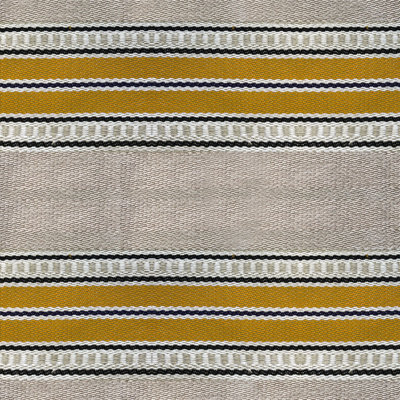 Lorenzo Castillo Volume VI Striped Fabric