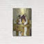 "Border collie qui regarde les vaches" par John Silver