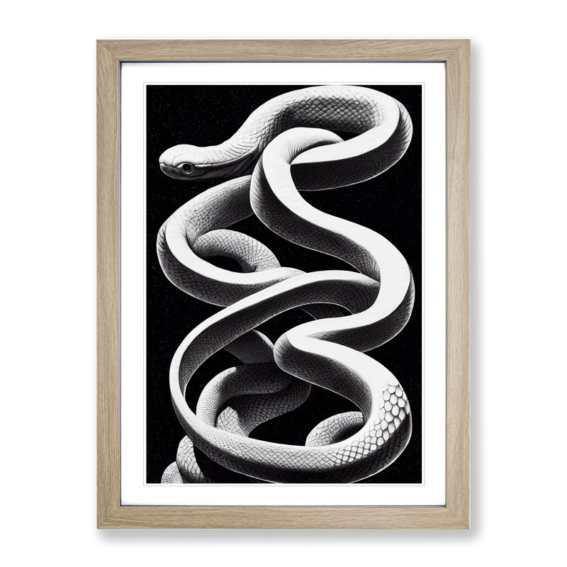 Coiled Snake - Single Picture Frame Print, 64cm H x 46cm W x 2cm D, Oak