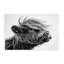 «Handsome Highland Portrait Canvas» par Tina LeCour-2105547304