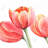Yellow Flowers Duvet Cover | Three Tulips Closeup Bedding