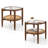 Allec Glass Top End Table Set