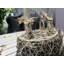 Pot à fleurs en bambou avec arrosage intérieur / extérieur Bamboo Blooms - écologique, sans plastique, biodégradable