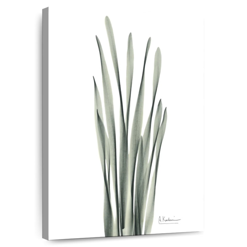 Harnek Hyacinth Leaf, 51" H x 34" W