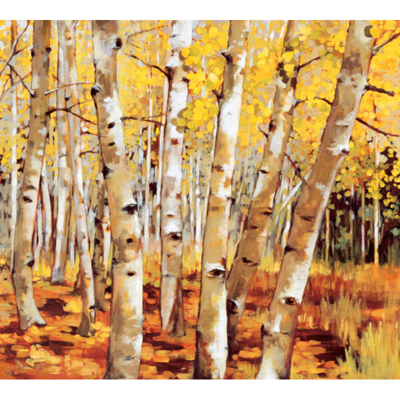 Aspen Grove Print by Waldron, Sarah, 43'' H x 48'' W, Maple Floater Framed