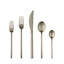 Linea 5 - Piece Stainless Steel Flatware Set - Service for 1