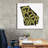Epic Graffiti 'Georgia 2'  by Art Licensing Studio Canvas Wall Art, 37" x 37"