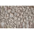 Cadiz Traditional Floral & Botanical Ivory Area Rug-1813796248