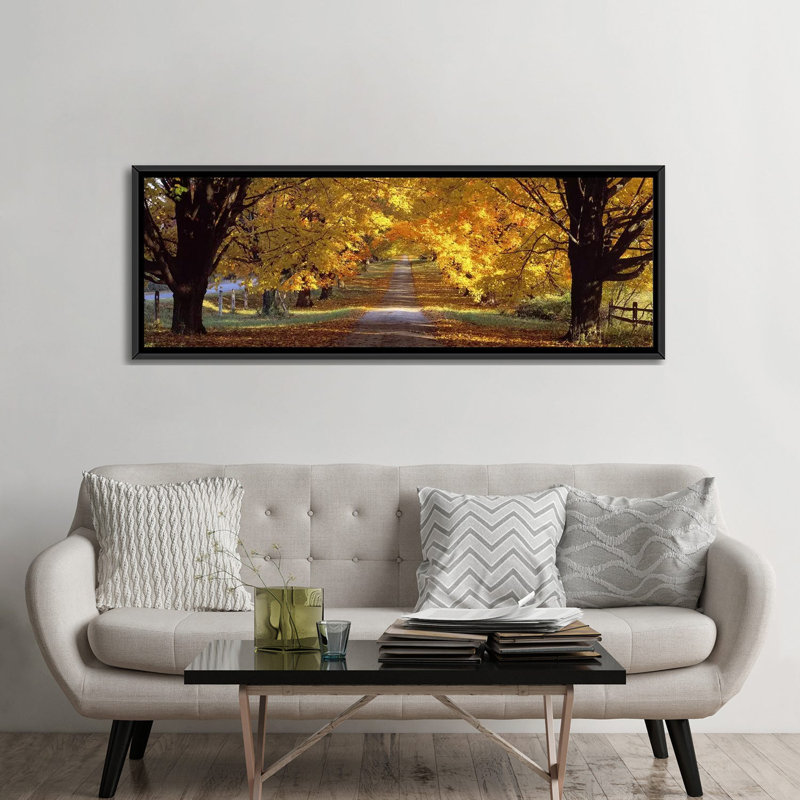 «Road, Maryland», reproduction de photo sur toile, H 24 po x l 72 po x P 1,5 po, Cadre noir