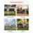 Portable Folding Bench