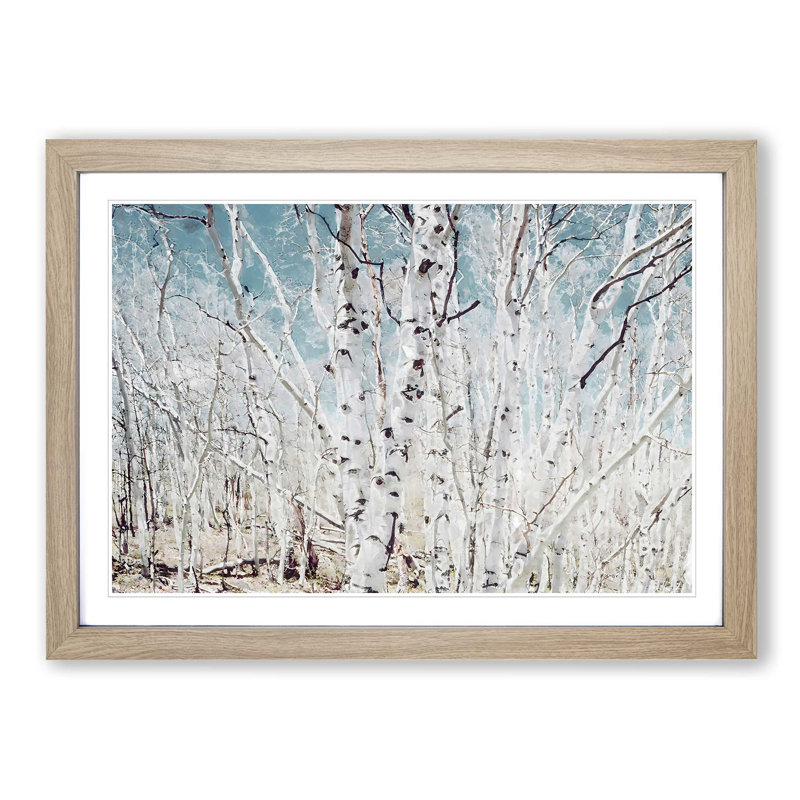 Birch Trees in Utah in Abstract - Picture Frame Graphic Art Print, Oak Framed, 27cm H x 36cm W x 2cm D