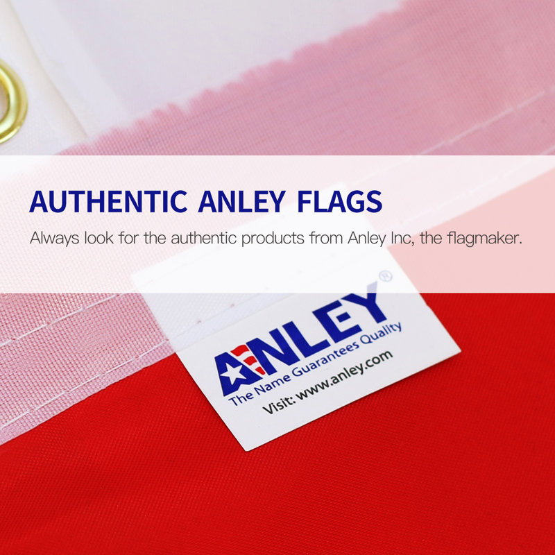 Non-Binary Pride Polyester 36 x 60 in. House Flag