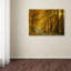 « enchanted forest », reproduction de photo sur toile tendue-23531268