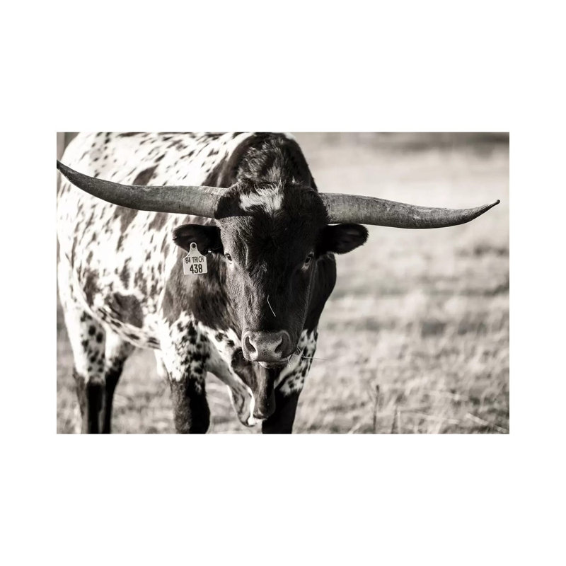 Longhorn Portrait by Tyler Stockton - Wrapped Canvas Print, 101.6 cm H x 66.04 cm W x 1.91 cm D