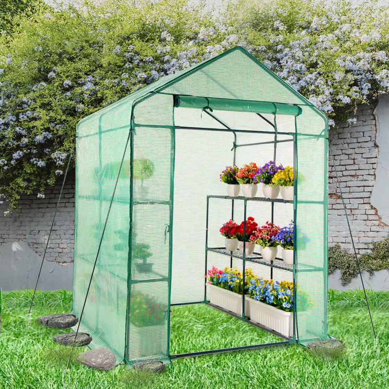 Green Walk-In Greenhouse with PE Cover and Steel Frame