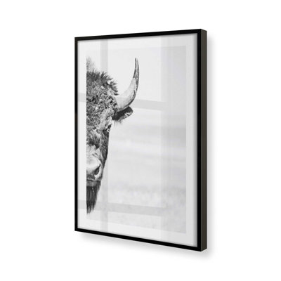 Wild Stare Print