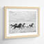Horse Run I by PHBurchett-558661565-558661570