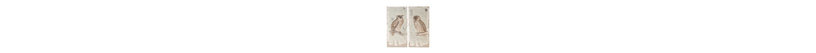 Set of 2 Prints with Distressed Look