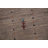 Tribal Gabbeh Oriental Area Rug