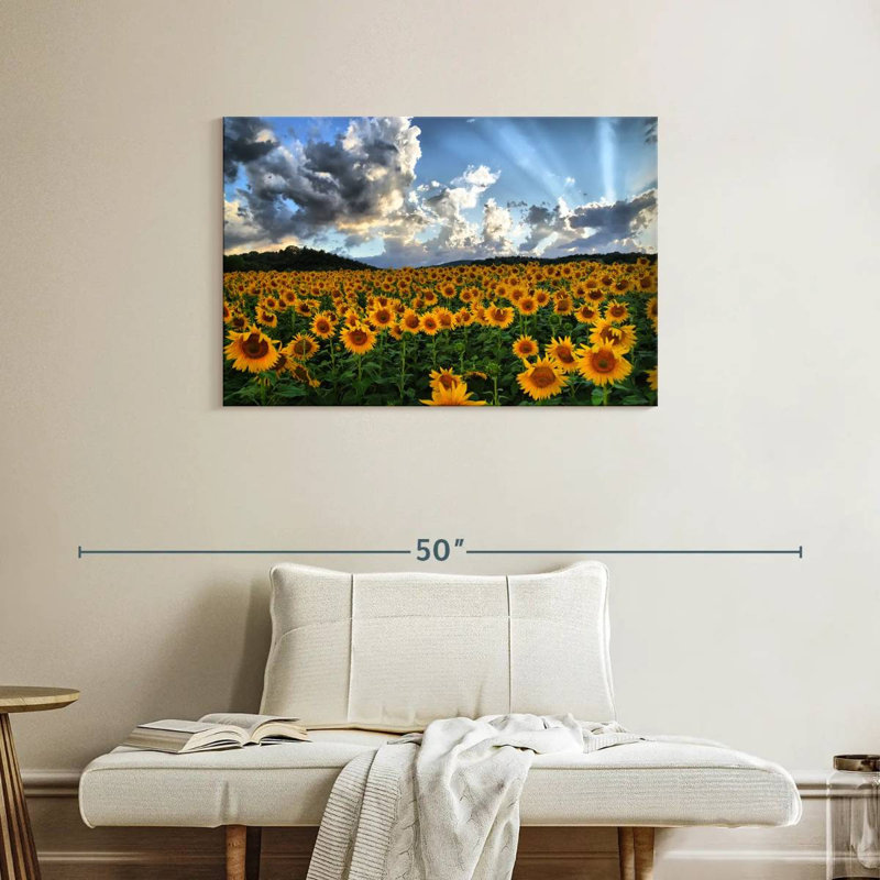 Champ de tournesols toscan Alvord, H 24 po x l 36 po