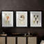 Coquilles antiques sur lin VI - impression sur mesure encadrée de qualité supérieure - 3 pièces-1212442325-1212442323