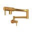 Modern Rohl Pot Filler-67461940