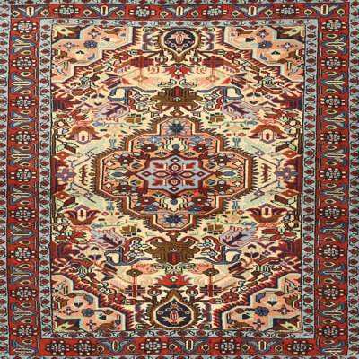 Oriental Indoor Rug