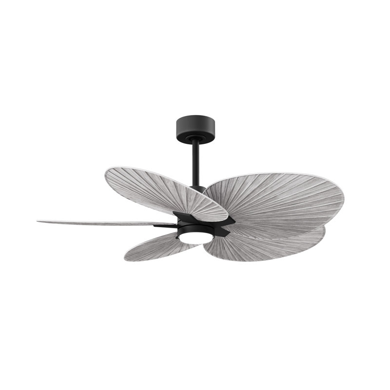 Alessandra Tropical - Five Blade Ceiling Fan - Integrated LED -Matte Black Finish -Light Blue Blades, Matte Black