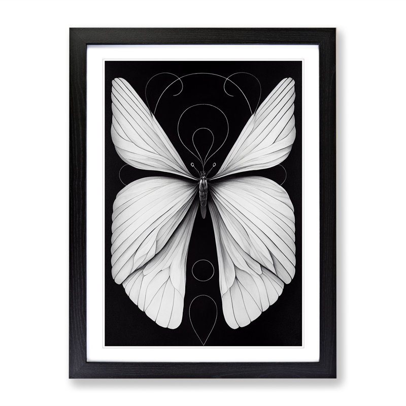 XV1022-4733X Tranquil Butterfly - Print, Black Framed, 66cm H x 48cm W, White