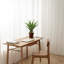 Agave plante artificielle avec pot-1812507841