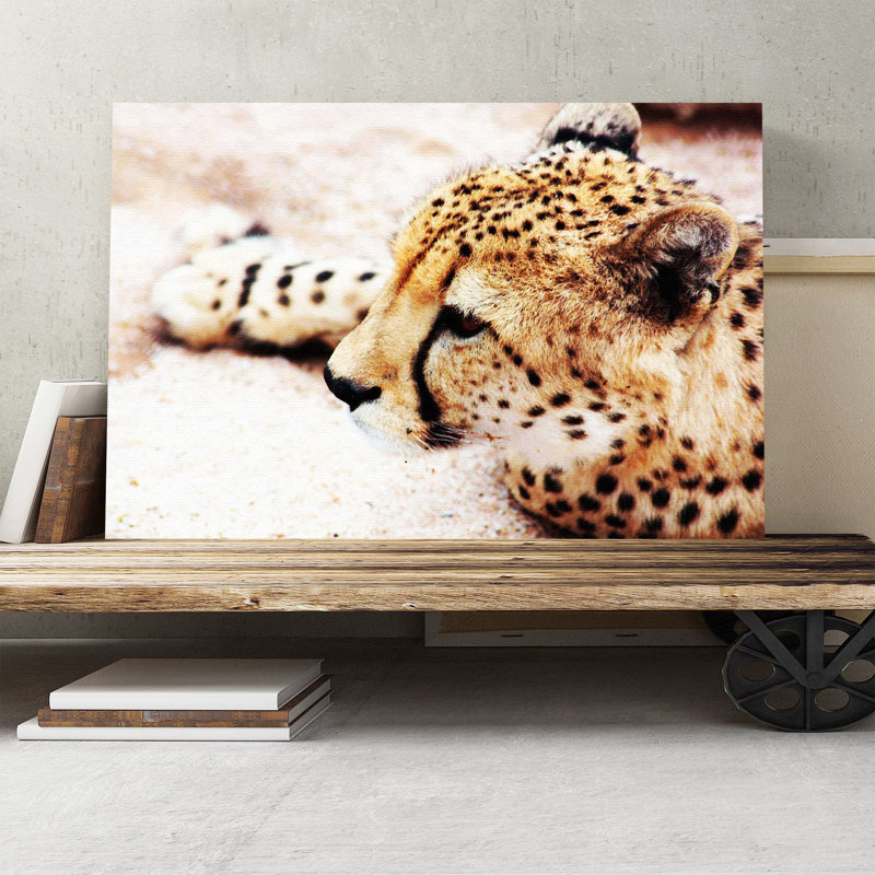 Cheetah Photographic - Wrapped Canvas, 50cm H x 76cm W